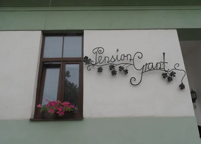 Grant Lux Bed & Breakfast 3*